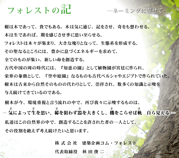 フォレストの記